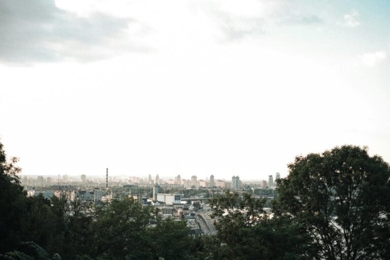 digital growth and advantage